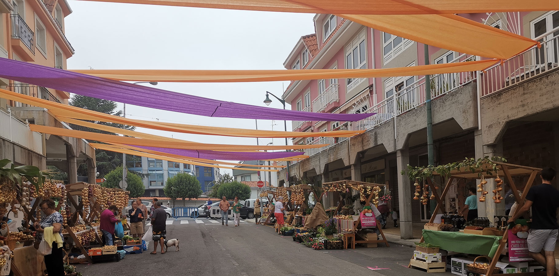 Feira da cebola